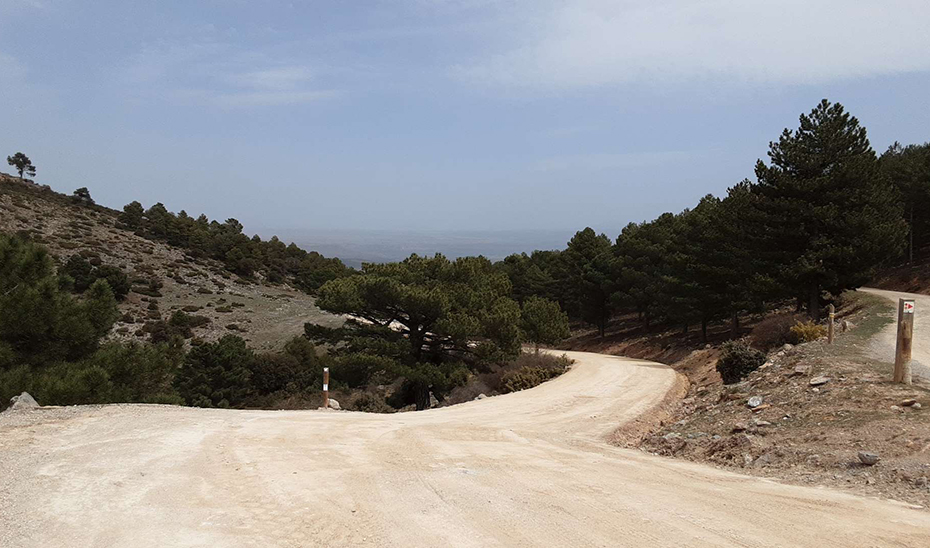 Camino forestal en la localidad de La Peza, en Granada.